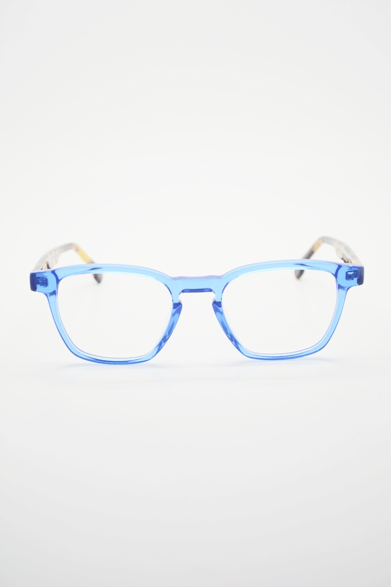 Color_blue tortoise