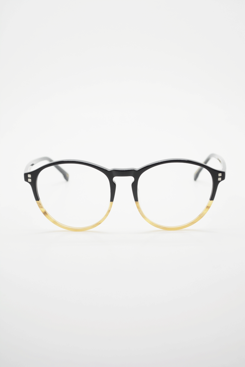 Color_Black Honey (BlkH-Clr)