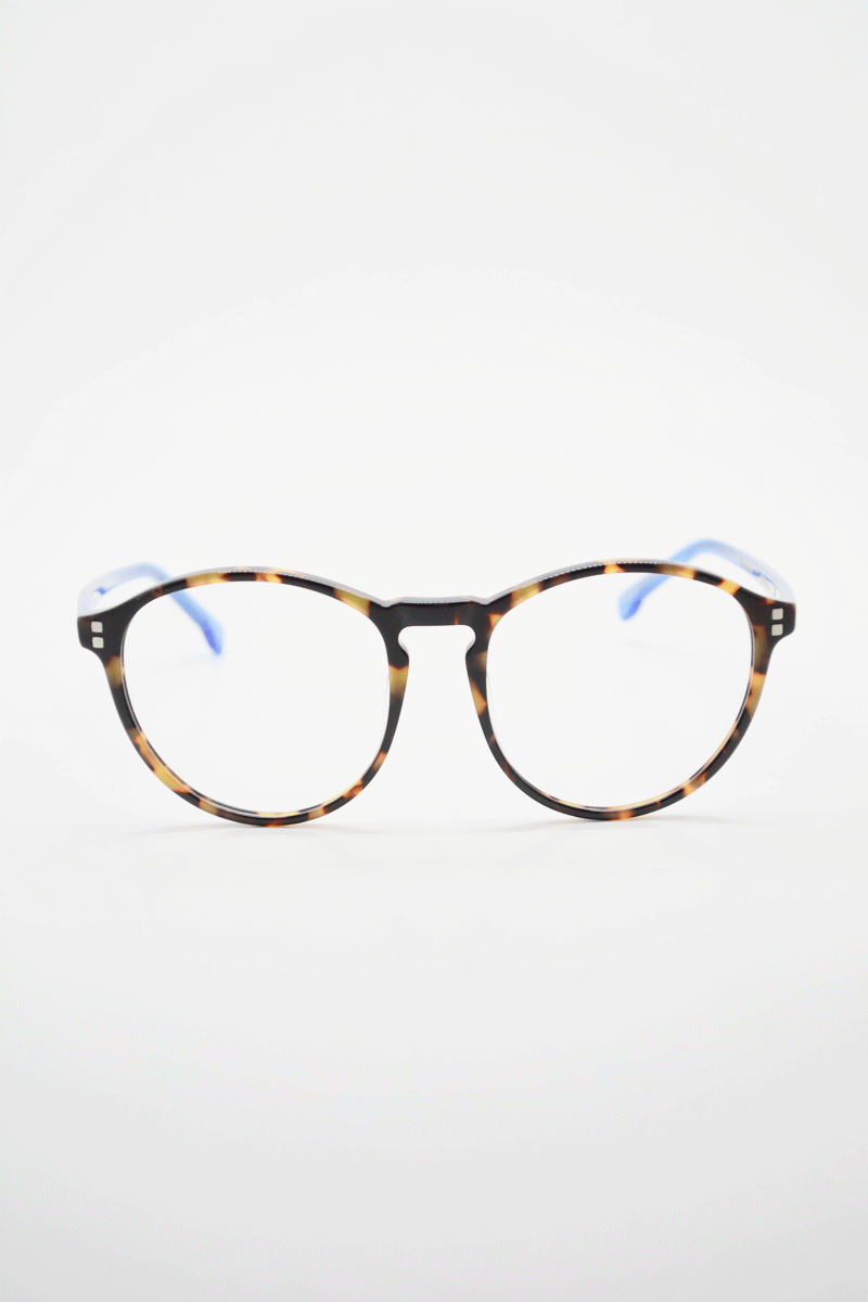 Color_Tortoise Blue (TorB-Clr)