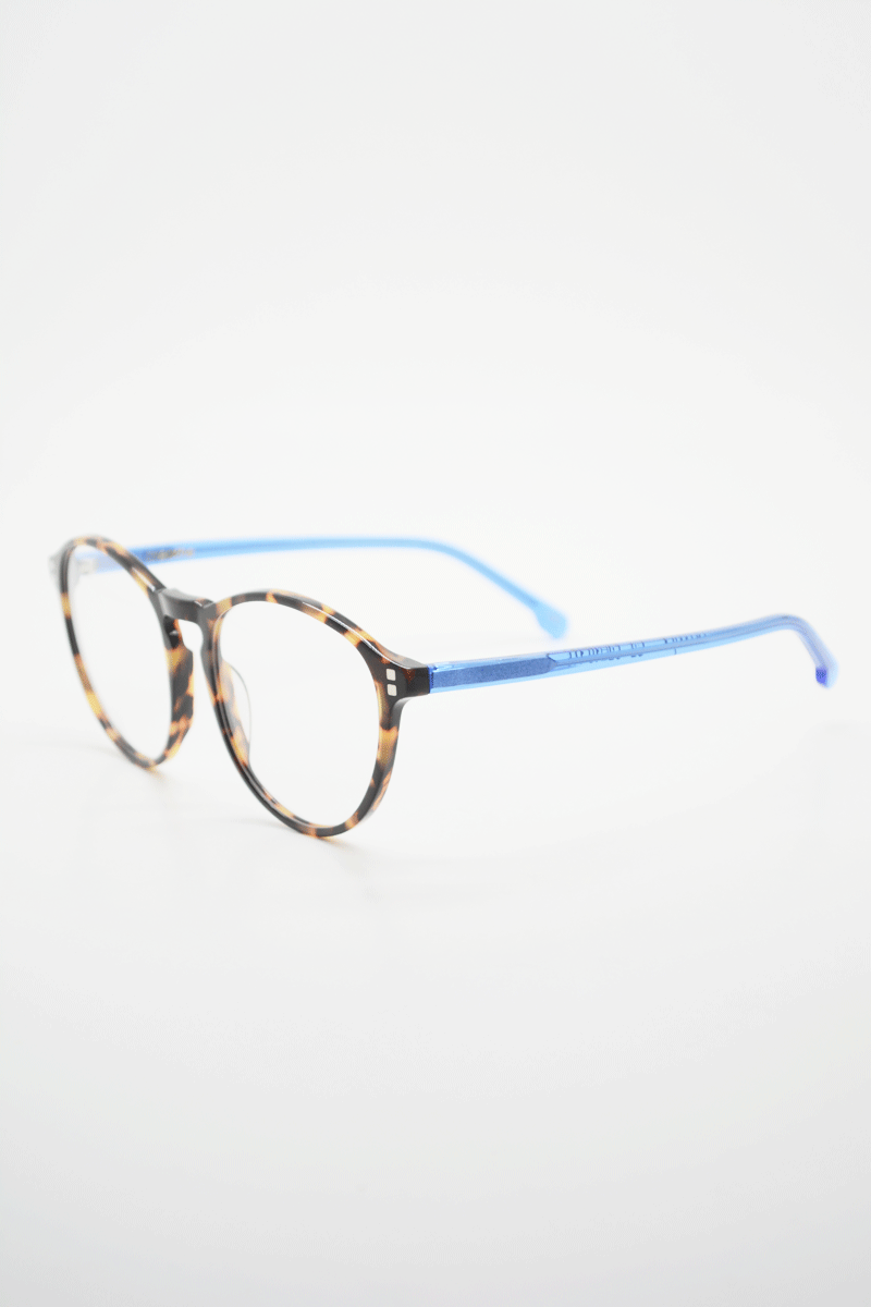 Color_Tortoise Blue (TorB-Clr)