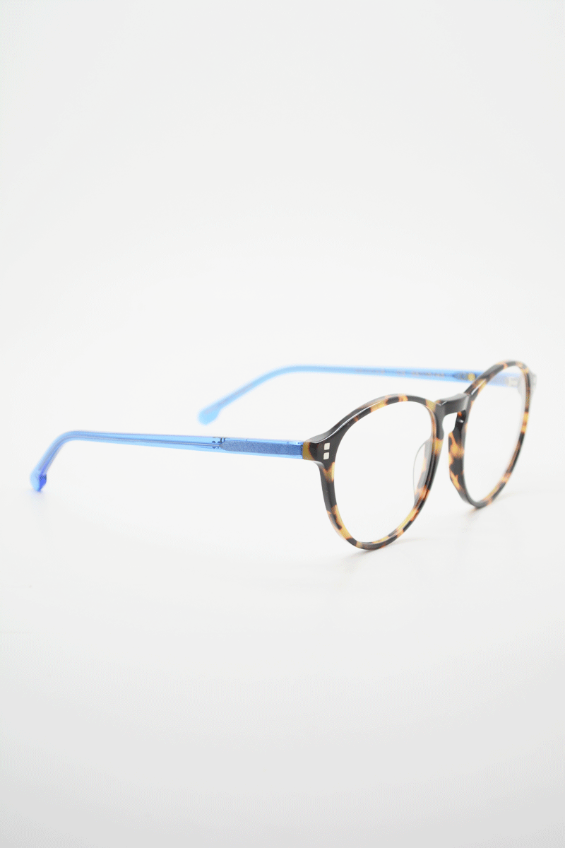 Color_Tortoise Blue (TorB-Clr)