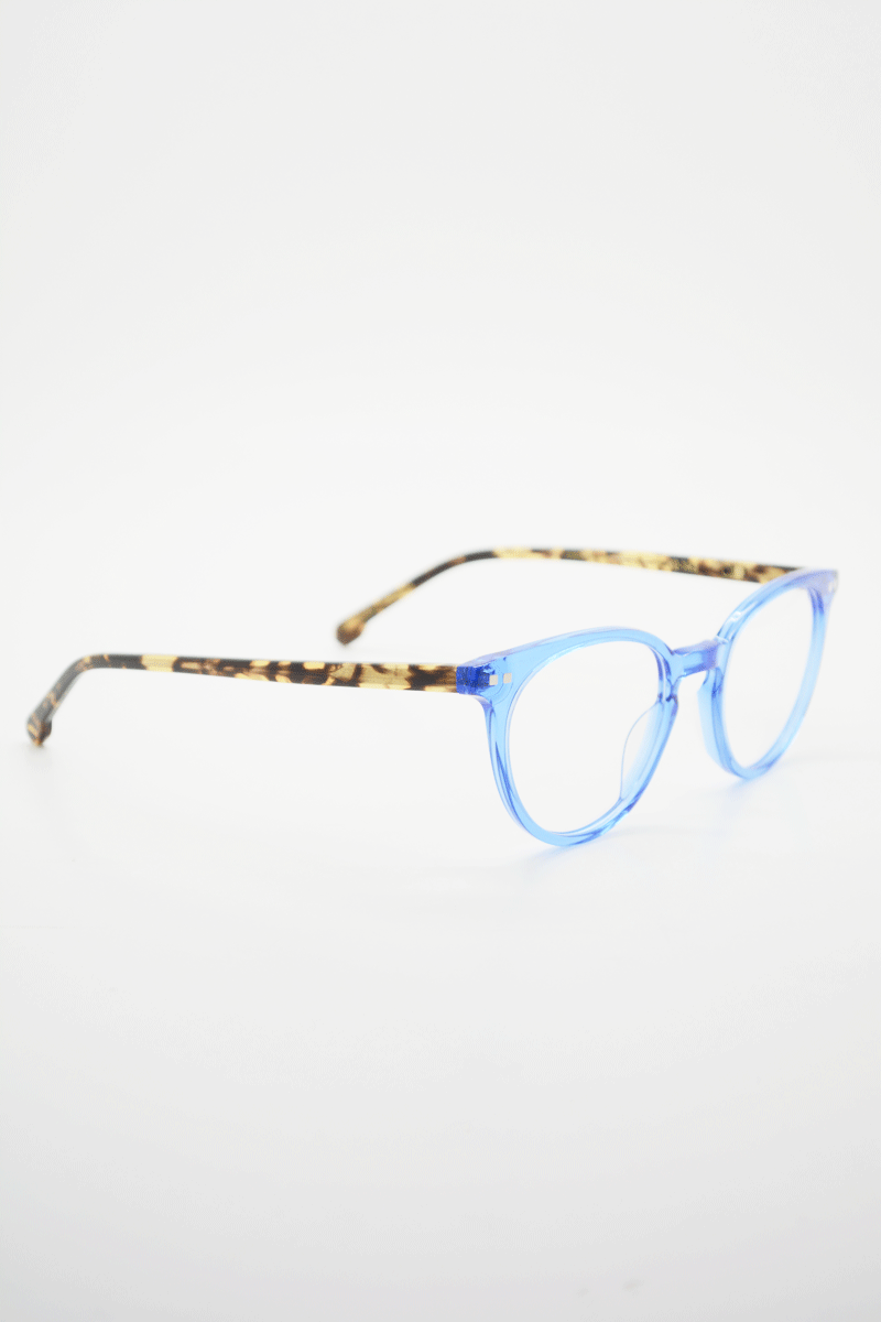 Color_Blue Tortoise (BluT-Clr)