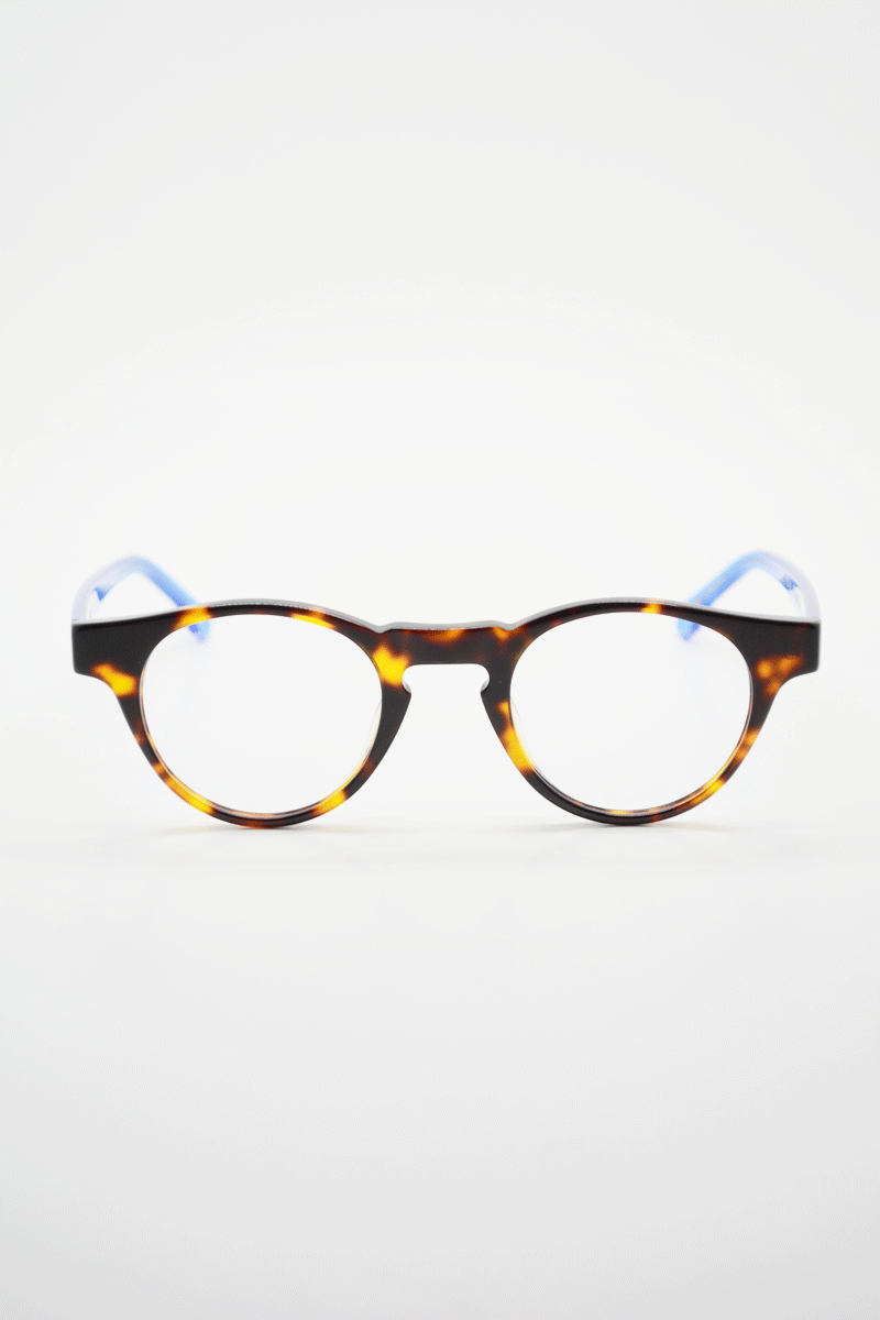one optical tortoise blue