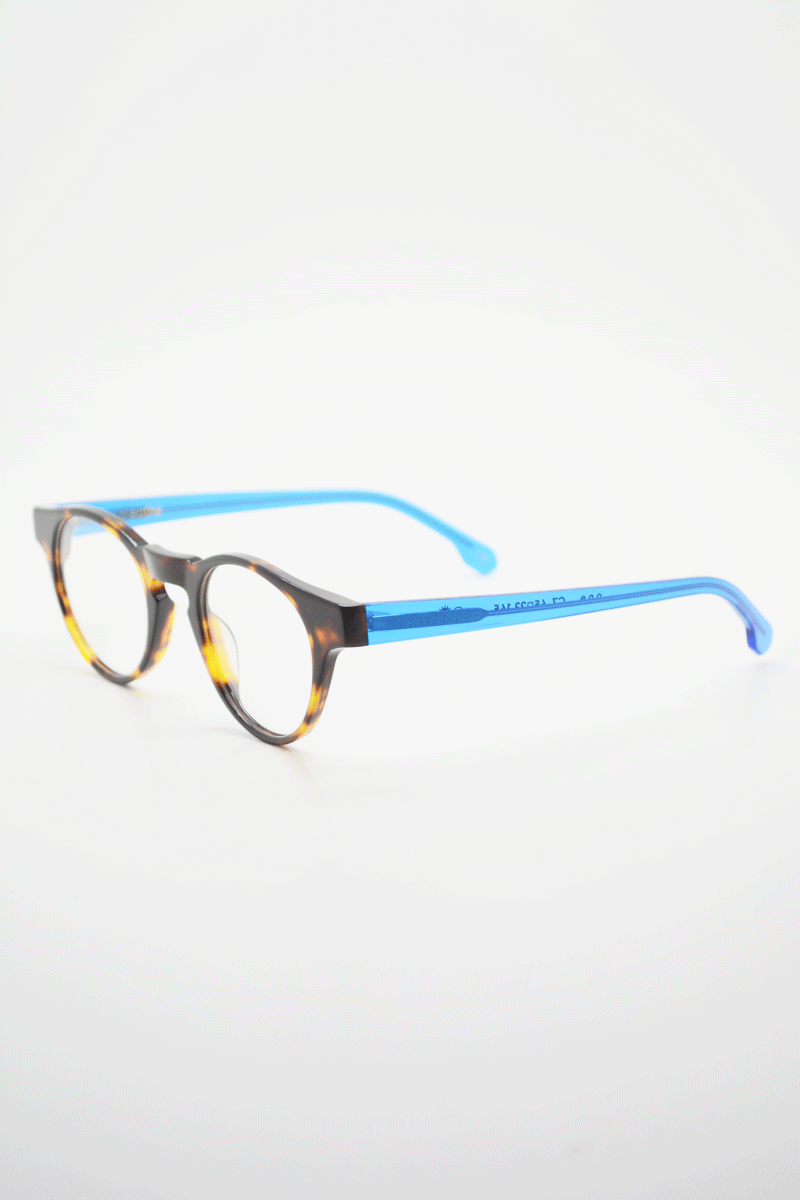 one optical tortoise blue