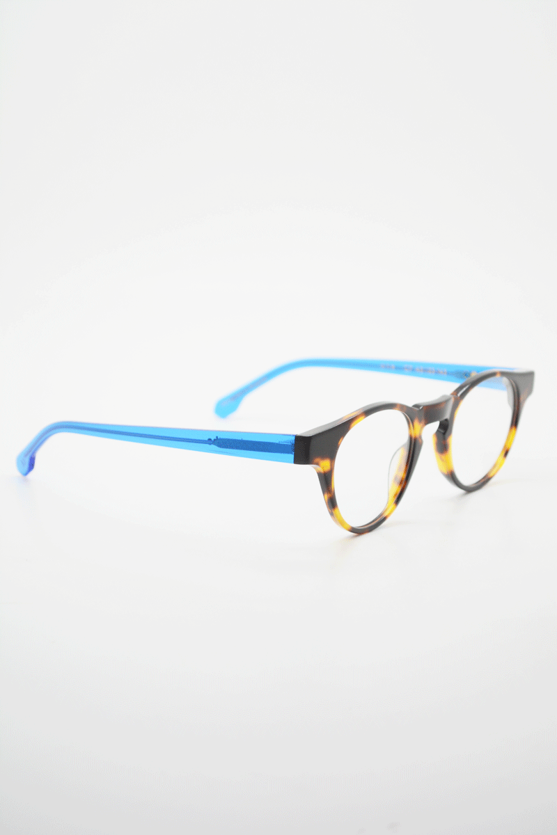 one optical tortoise blue