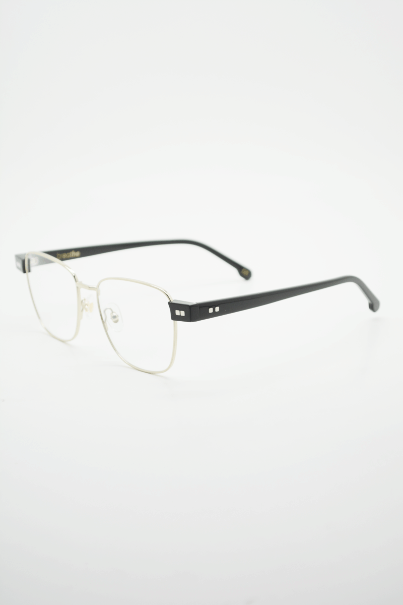 Color_Black Silver (BlkS-Clr)