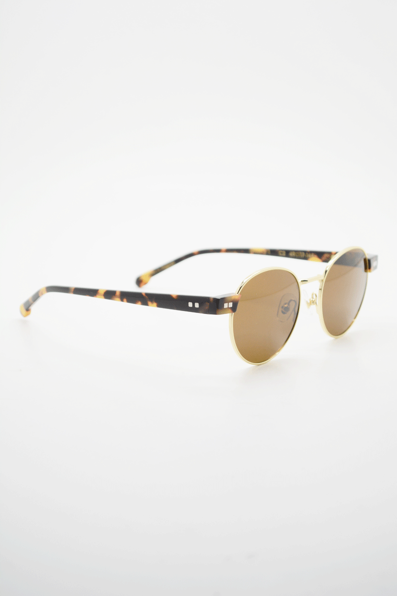 Color_Tortoise Gold-Brown (TorG-Brn)